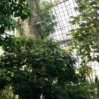 Botanical Gardens